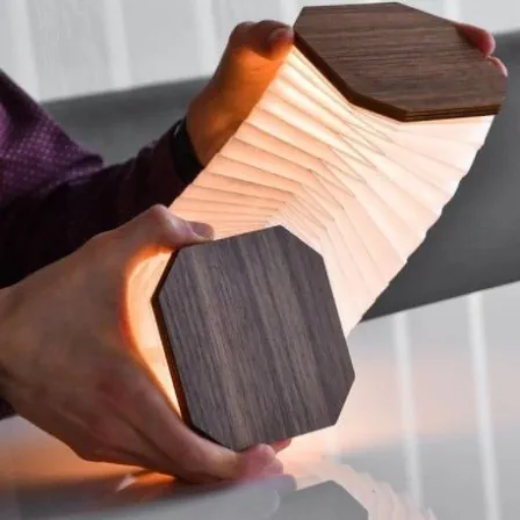 Picture of Smart Folding Light