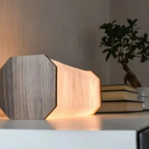 Picture of Smart Folding Light