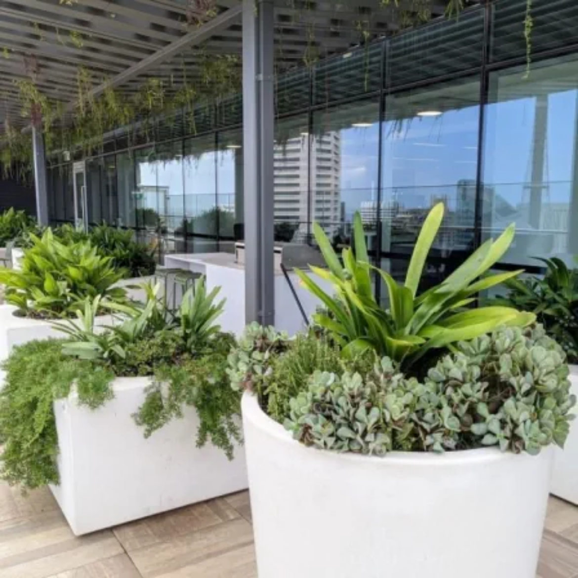 Picture of Green Facades and Planter Boxes