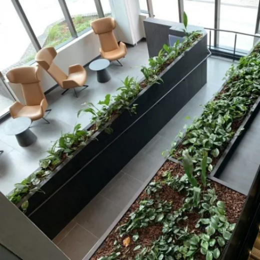 Picture of Green Facades and Planter Boxes