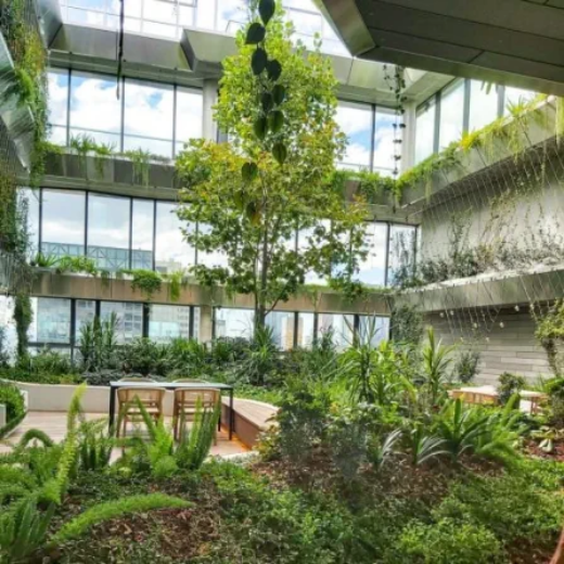 Picture of Green Facades and Planter Boxes