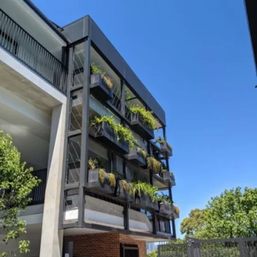 Picture of Green Facades and Planter Boxes