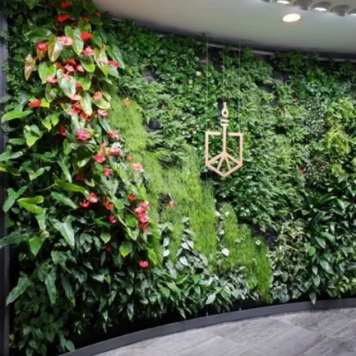 Picture of Green Walls