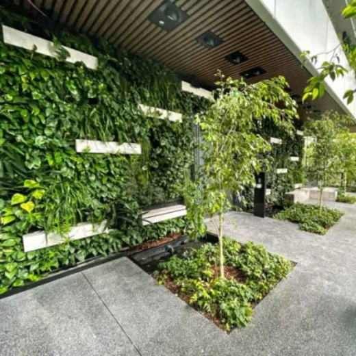 Picture of Green Walls