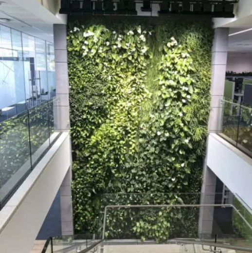 Picture of Green Walls