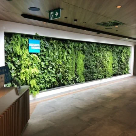 Picture of Green Walls